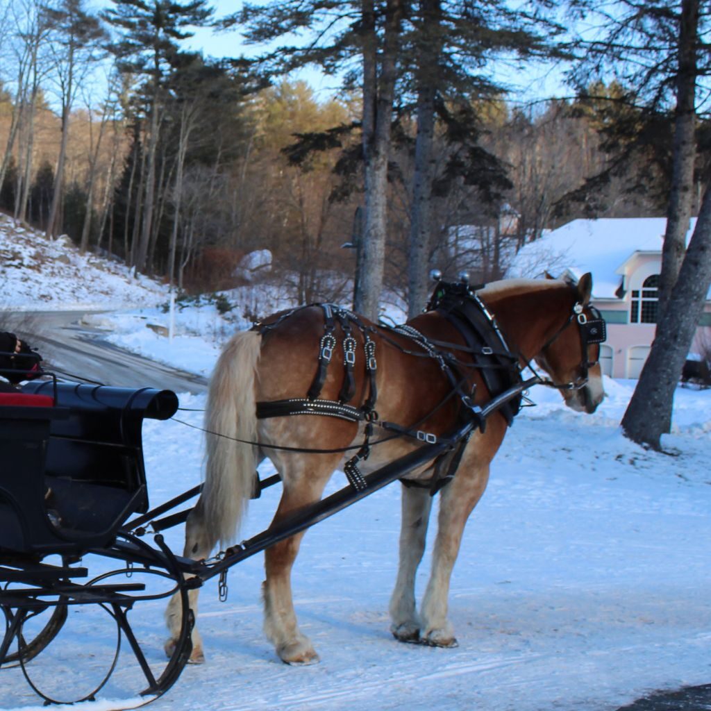 Sleigh Ride Freeport Maine