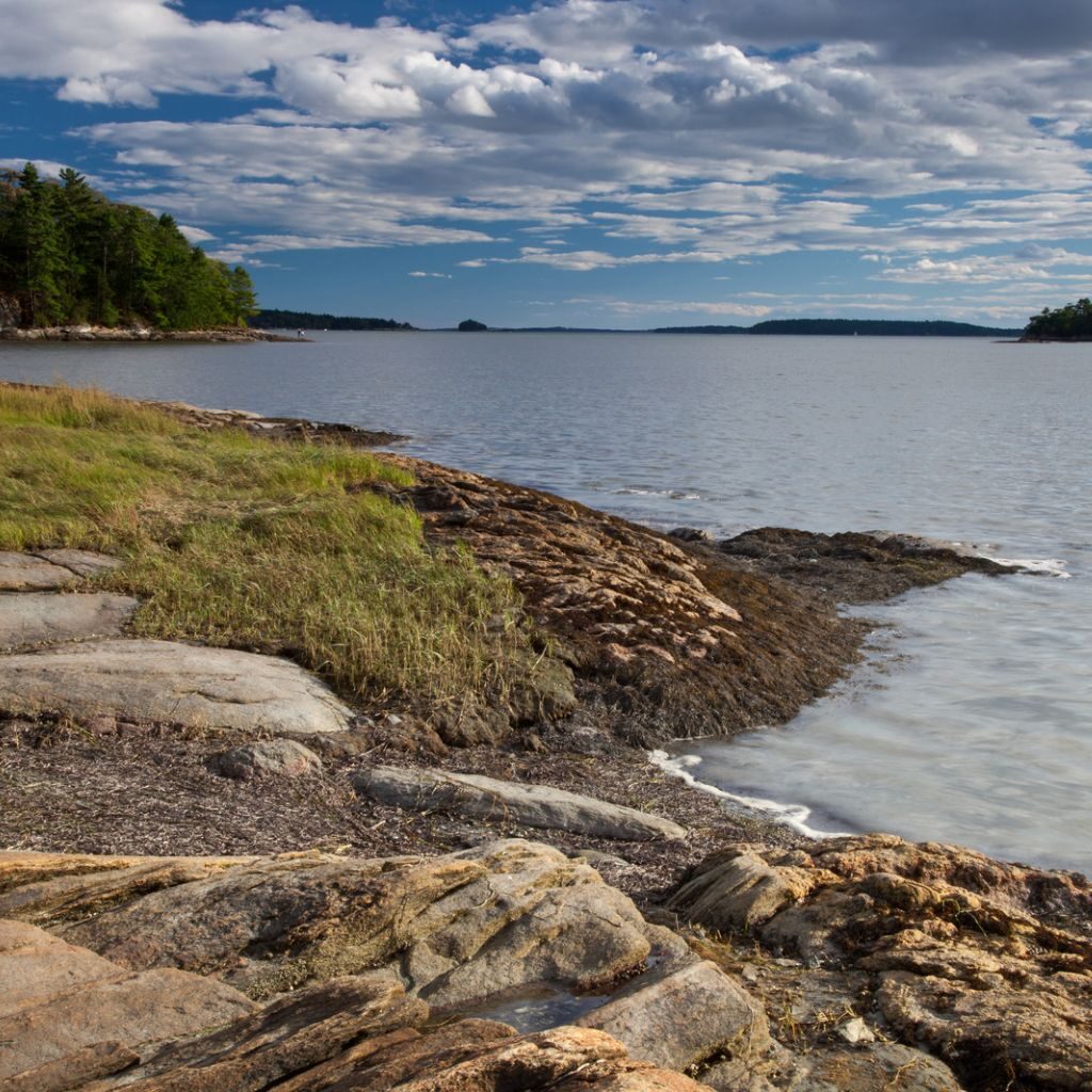 Wolfe's Neck Park Freeport Maine